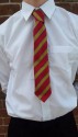 Caerleon Lodge Tie