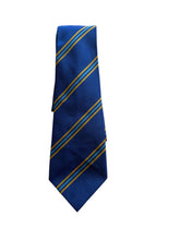 Load image into Gallery viewer, Caldicot House Ties
