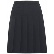 Designer Pleated Skirt