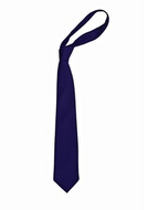 Clare House School Tie